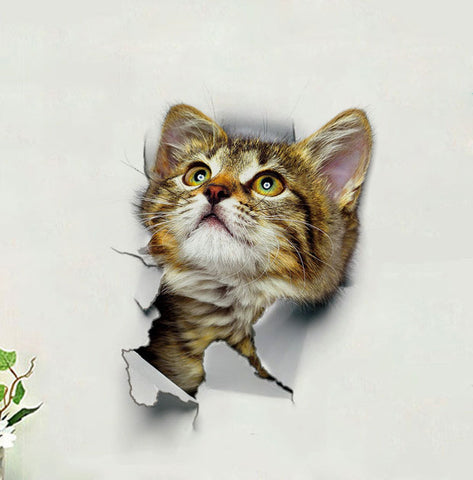 Exclusive 3D Pet Decals