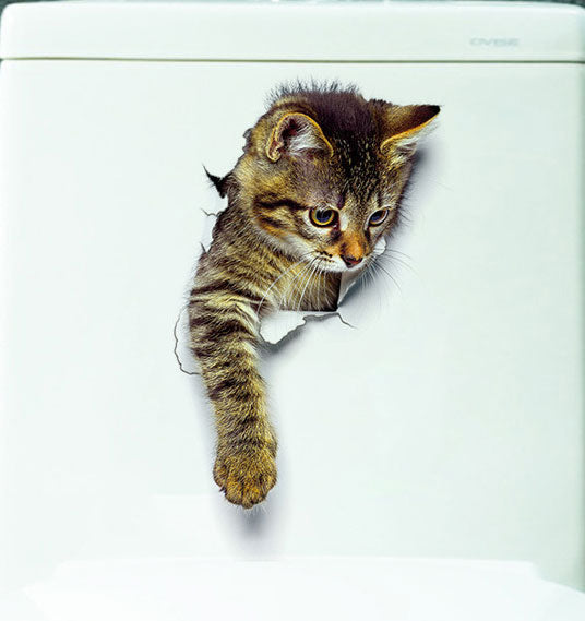 Exclusive 3D Pet Decals